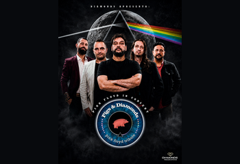 pink floyd, pigs & diamonds, rock, concerto de rock, show, teatro